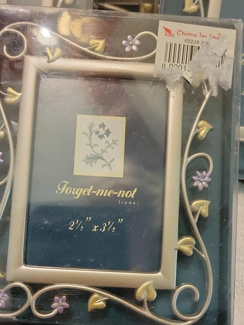 Forget Me Not Frame Lot